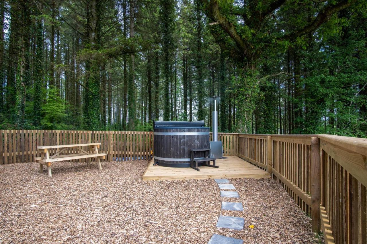 Cabin In The Woods - 1 Bedroom Lodge - Kilgetty Stepaside  ภายนอก รูปภาพ
