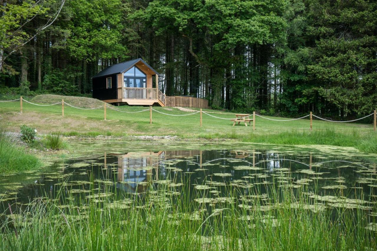Cabin In The Woods - 1 Bedroom Lodge - Kilgetty Stepaside  ภายนอก รูปภาพ