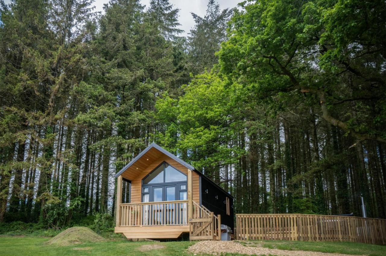Cabin In The Woods - 1 Bedroom Lodge - Kilgetty Stepaside  ภายนอก รูปภาพ