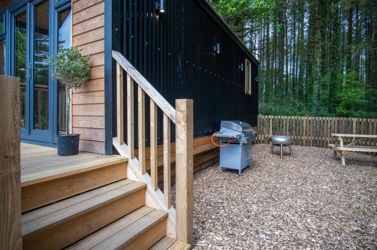 Cabin In The Woods - 1 Bedroom Lodge - Kilgetty Stepaside  ภายนอก รูปภาพ